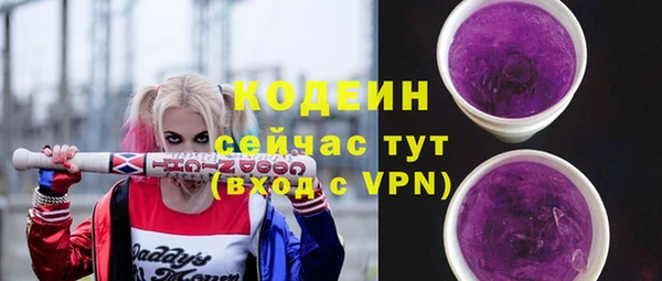 индика Бугульма