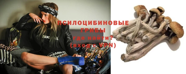таблы Бородино