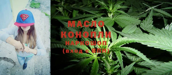 индика Бугульма