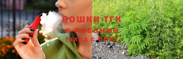 индика Бугульма