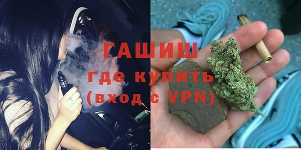 индика Бугульма
