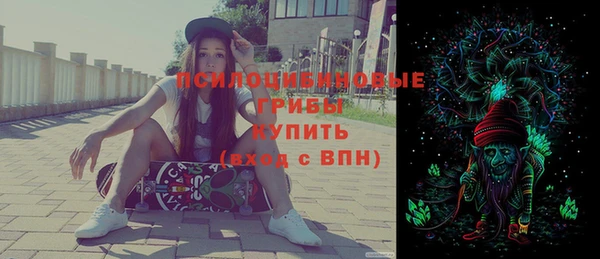 таблы Бородино