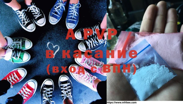 индика Бугульма