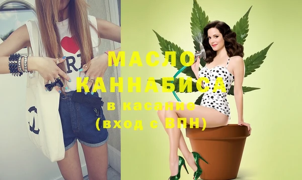 индика Бугульма