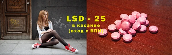 индика Бугульма
